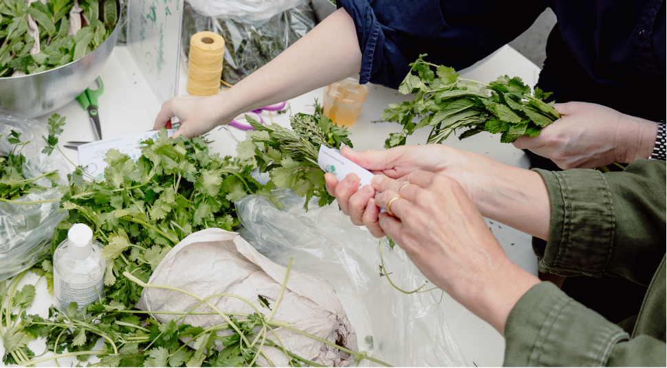 Two pairs of hands creating bundles of herbs over a table full of herbs and supplies.